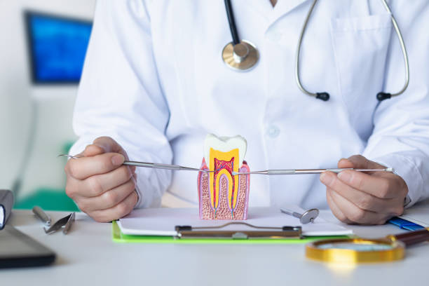 Best Weekend Emergency Dentist in Tornado, WV